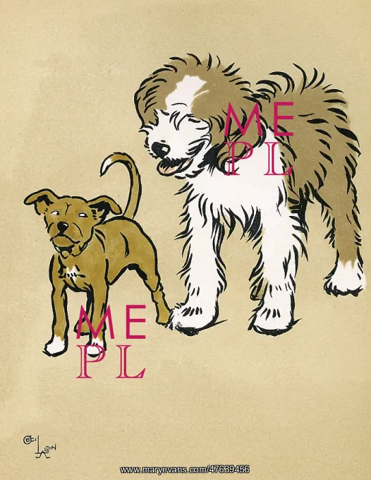 : Mongrel puppy with a sheepdog in the park : Mongrel puppy with a sheepdog in the park