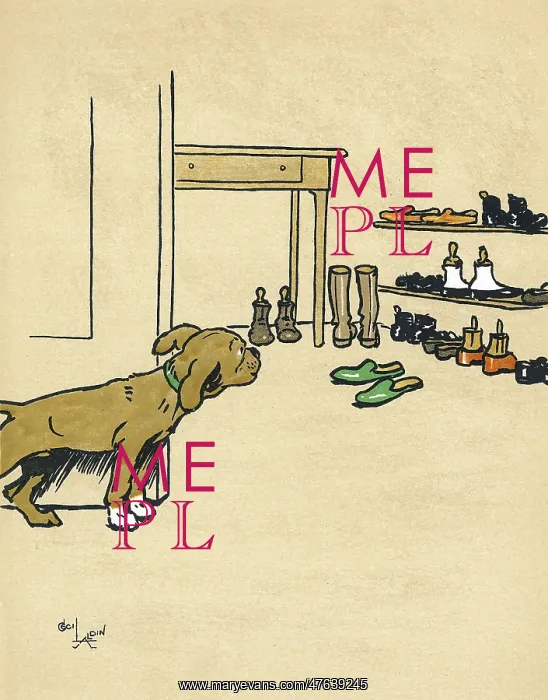 : Mongrel puppy tempted by his master's shoes : Mongrel puppy tempted by his master's shoes
