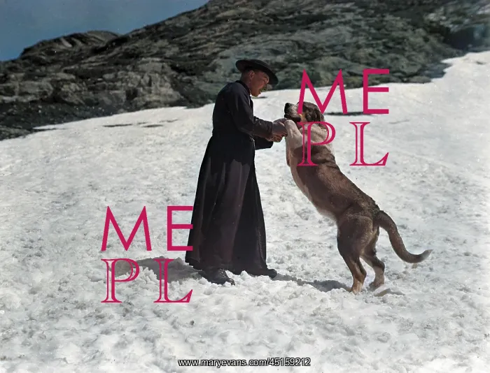 : MONK WITH ST. BERNARD : MONK WITH ST. BERNARD