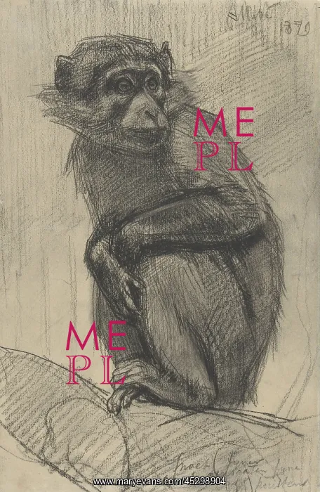 : Monkey on a Branch : Monkey on a Branch