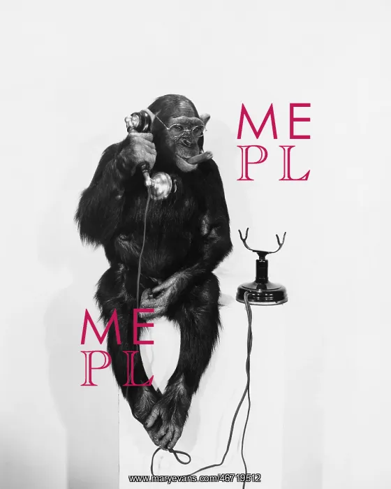 : MONKEY BUSINESS : MONKEY BUSINESS
