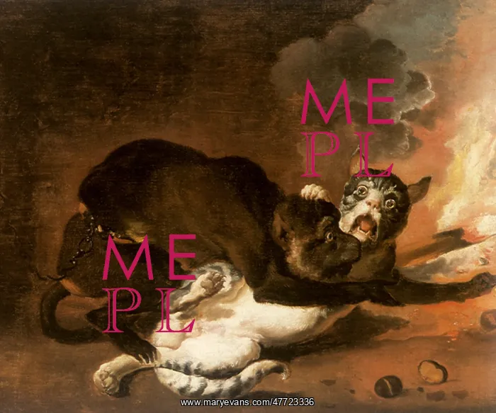  : The Monkey and the Cat