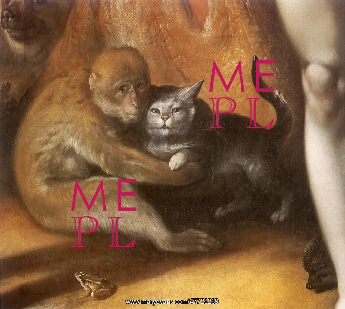  : Monkey and Cat Embrace