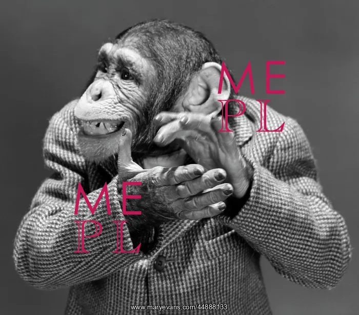 : Monkey Chimp Chimpanzee Dressed : Monkey Chimp Chimpanzee Dressed