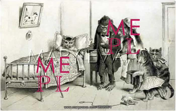  : MONKEY DOCTOR