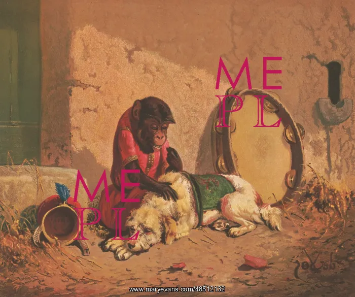 : Monkey and a dog with a large tambourine and monkey's hat : Monkey and a dog with a large tambourine and monkey's hat