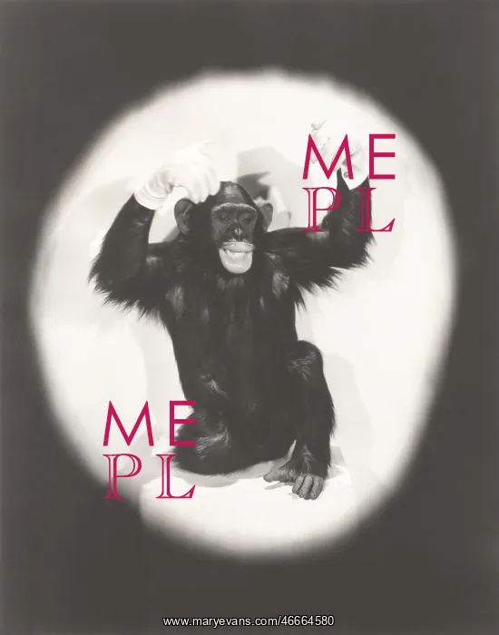 : Monkey doing an Al Jolson imitation : Monkey doing an Al Jolson imitation