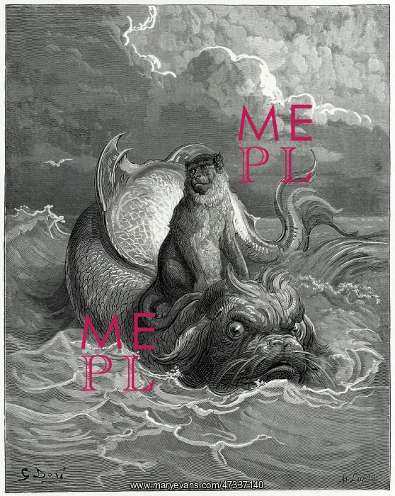 : MONKEY AND DOLPHIN : MONKEY AND DOLPHIN