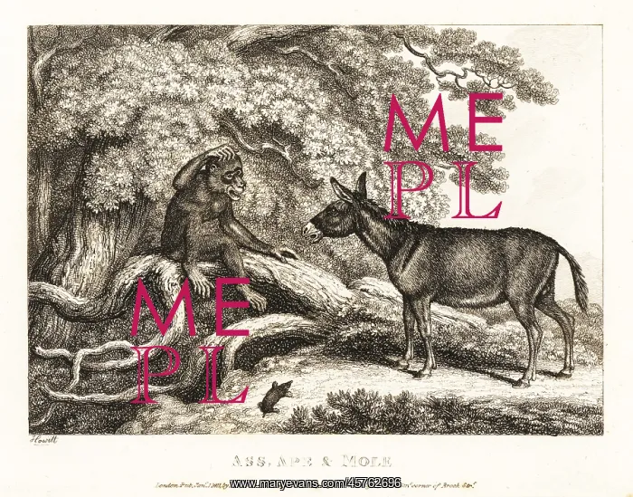 : A monkey and a donkey moan until a mole silences them : A monkey and a donkey moan until a mole silences them