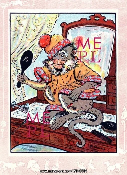 : Monkey dressed up in jumper and cap