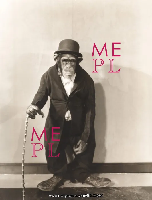 : Monkey dressed in tight overcoat and bowler hat : Monkey dressed in tight overcoat and bowler hat