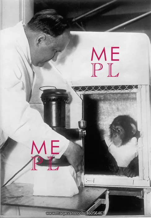 : A monkey goes to the veterinarian : A monkey goes to the veterinarian