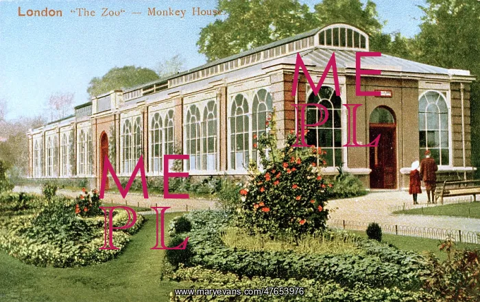 : Monkey House building at London Zoo : Monkey House building at London Zoo