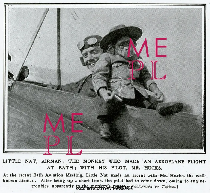 : Monkey making flight at Bath Aviation Meeting 1912 : Monkey making flight at Bath Aviation Meeting 1912