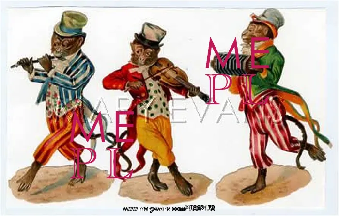 : MONKEY MUSICIANS : MONKEY MUSICIANS