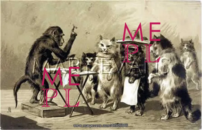 : MONKEY QUACK DOCTOR : MONKEY QUACK DOCTOR