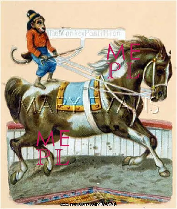  : A MONKEY RIDES A PONY