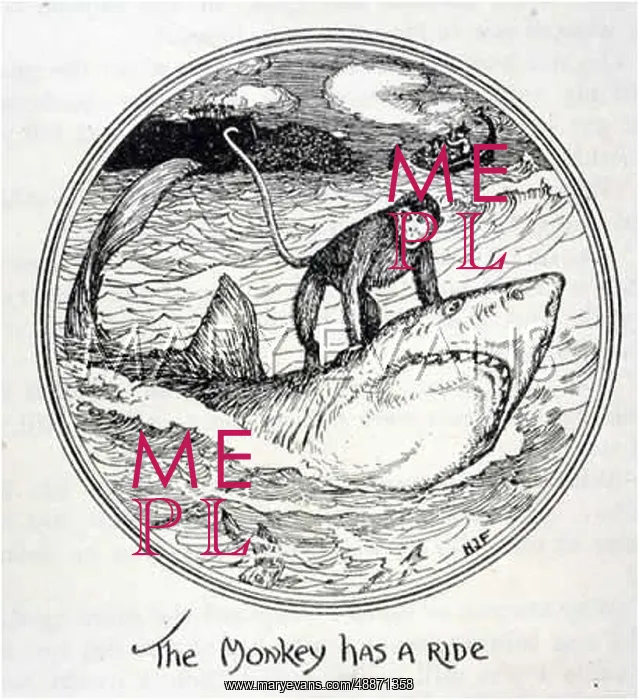 : MONKEY RIDES A SHARK : MONKEY RIDES A SHARK