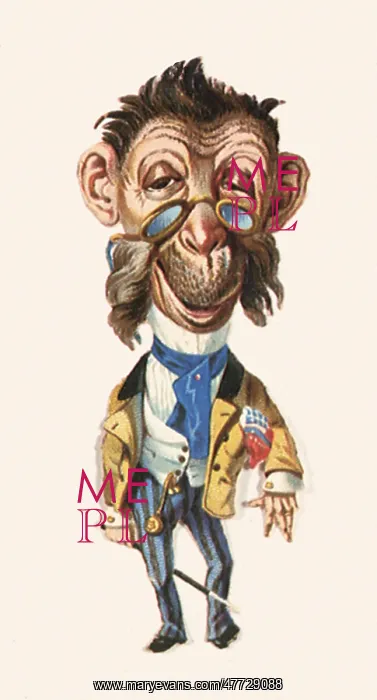  : Monkey in Suit
