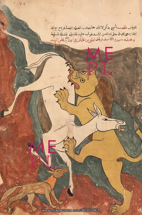 : The Monkey Tells the Story of the Fox Luring the : The Monkey Tells the Story of the Fox Luring the