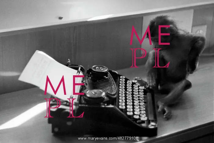 : Monkey typing, 1965 : Monkey typing, 1965