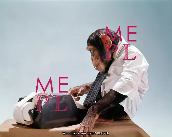 : Monkey Using Adding Machine Wearing : Monkey Using Adding Machine Wearing