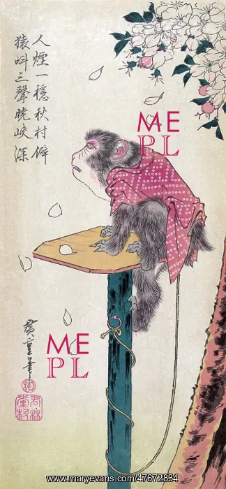: Monkey Watching Cherry Blossoms Fall, 19th Century : Monkey Watching Cherry Blossoms Fall, 19th Century