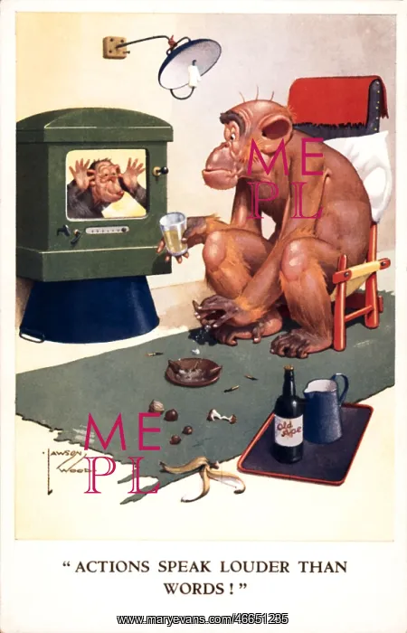 : Monkey watching television : Monkey watching television