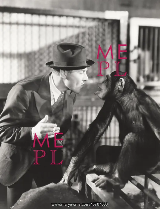  : Monkeying around