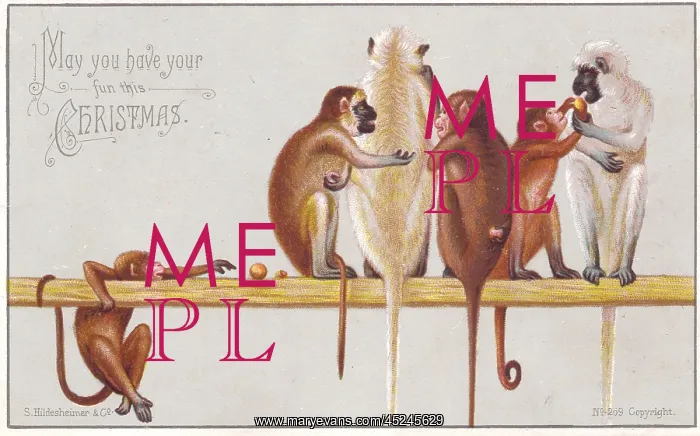 : Six monkeys on a Christmas card : Six monkeys on a Christmas card