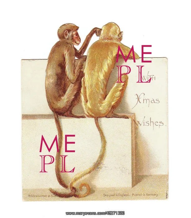: Two monkeys on a cutout Christmas card : Two monkeys on a cutout Christmas card