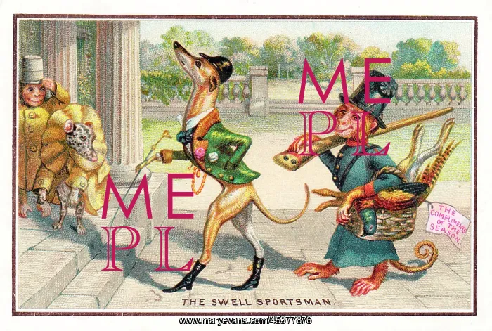 : Monkeys and dogs on a Christmas card : Monkeys and dogs on a Christmas card