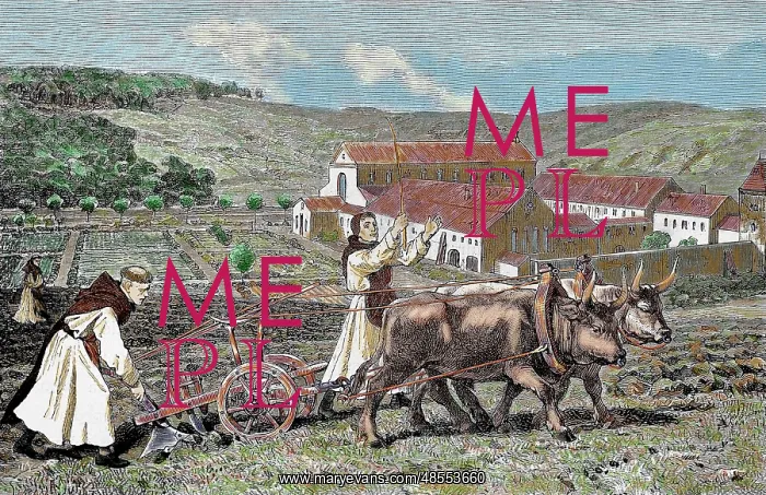 : Monks ploughing the land with oxen. Germany : Monks ploughing the land with oxen. Germany