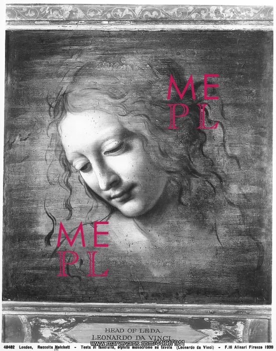 : Monochrome painting depicting the head : Monochrome painting depicting the head