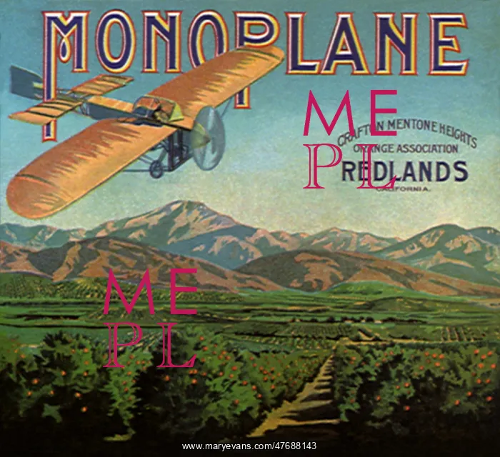 : Monoplane