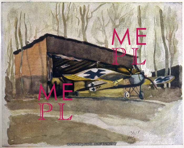 : MONOPLANE HIDDEN IN TREE : MONOPLANE HIDDEN IN TREE