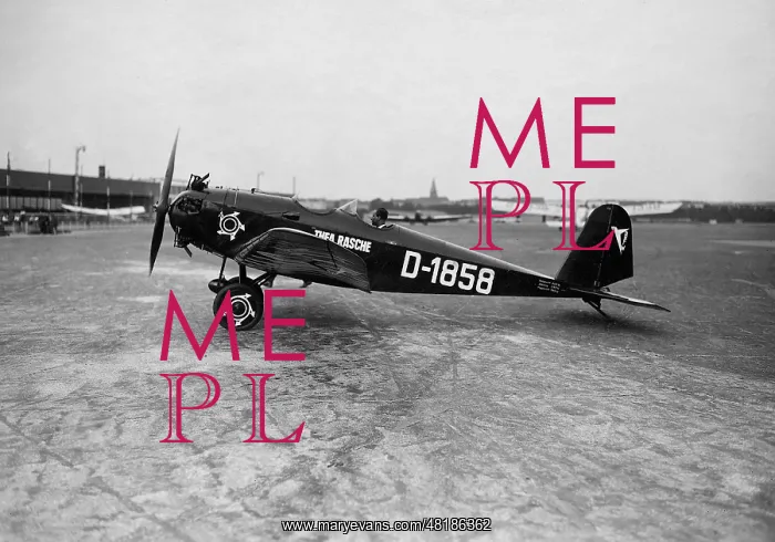 : Monoplane of Thea Rasche, 1930 : Monoplane of Thea Rasche, 1930