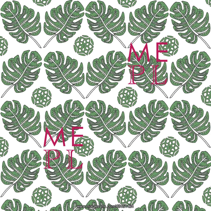  : Monstera deliciosa leaf pattern
