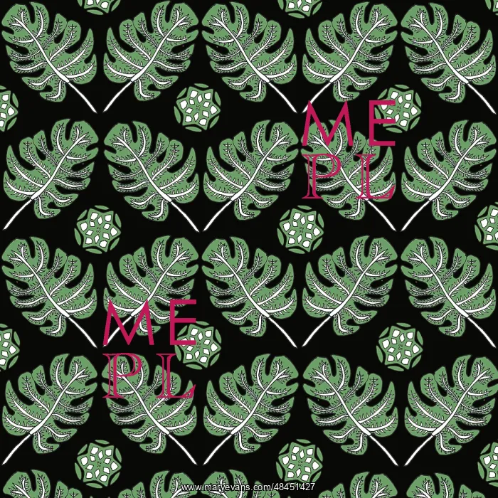  : Monstera deliciosa leaf pattern