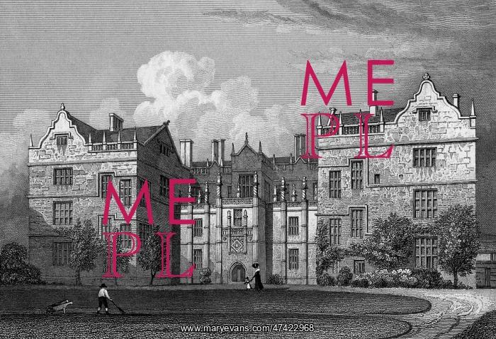 : Montacute House, Somerset : Montacute House, Somerset