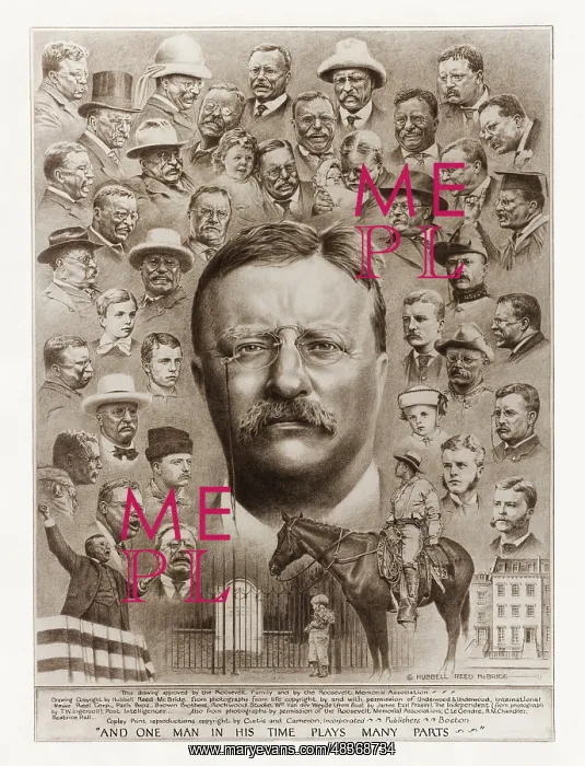 : A montage of drawings of Teddy Roosevelt from : A montage of drawings of Teddy Roosevelt from