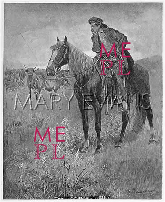 : MONTANA COWBOY : MONTANA COWBOY