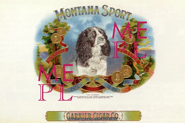  : Montana Sport