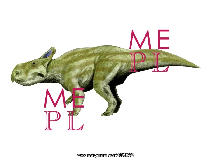 : Montanoceratops dinosaur : Montanoceratops dinosaur