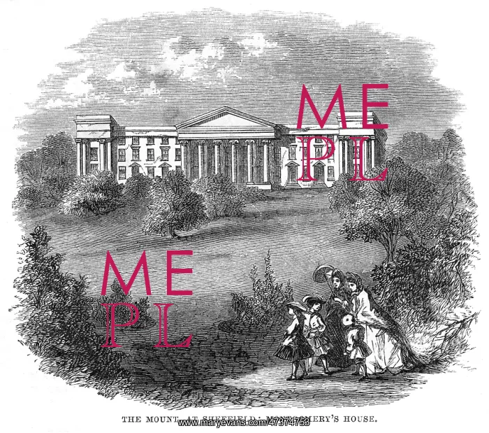: MONTGOMERY HOME : MONTGOMERY HOME