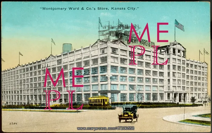 : MONTGOMERY WARD STORE : MONTGOMERY WARD STORE