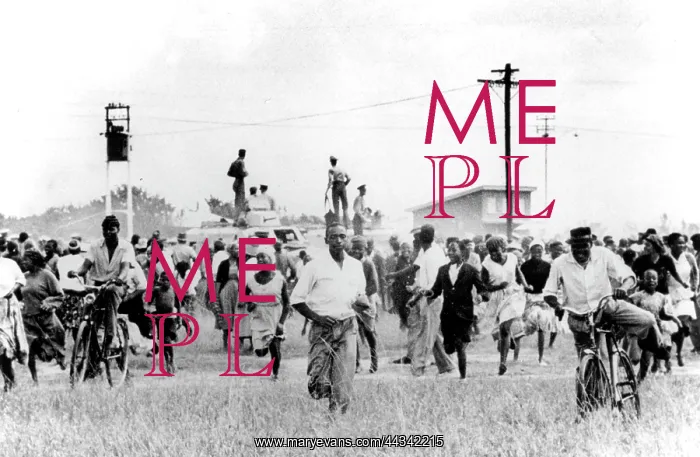 : Five Months Nightmare - Sharpeville massacre : Five Months Nightmare - Sharpeville massacre