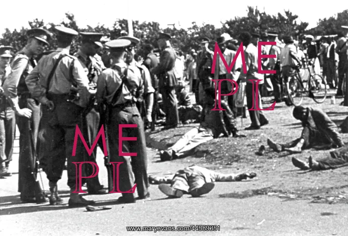 : Five Months Nightmare - Sharpeville massacre : Five Months Nightmare - Sharpeville massacre