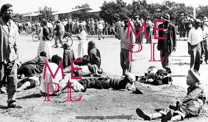 : Five Months Nightmare - Sharpeville massacre : Five Months Nightmare - Sharpeville massacre