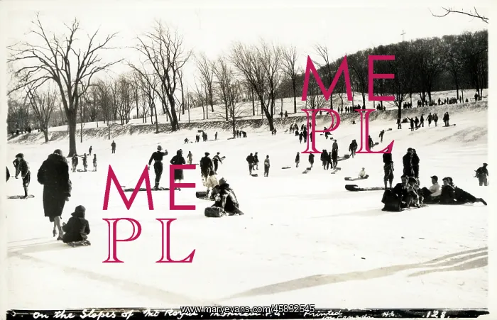 : Montreal, Quebec, Canada - Sledging on Mt. Royal : Montreal, Quebec, Canada - Sledging on Mt. Royal